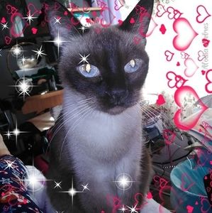 Meet your Posher, Emma